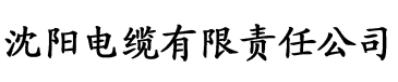 情书只有风在听》电缆厂logo